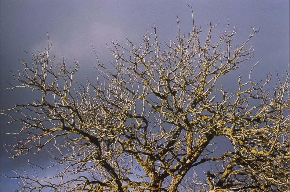 Kodachrome, Isle of Skye 2001